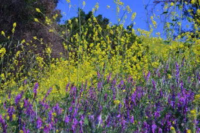 DSC_6141 (Large).JPG